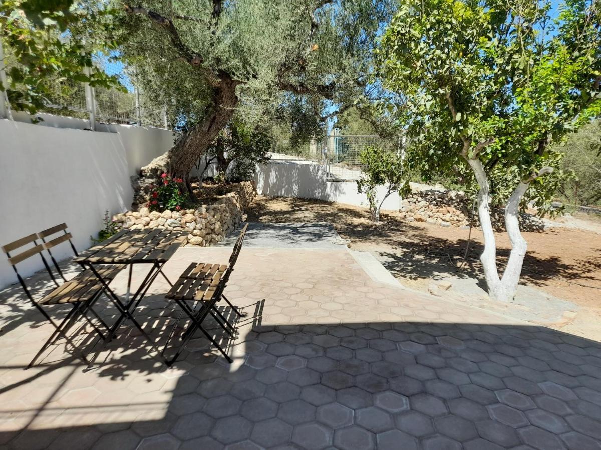 Olive Tree Apartment *