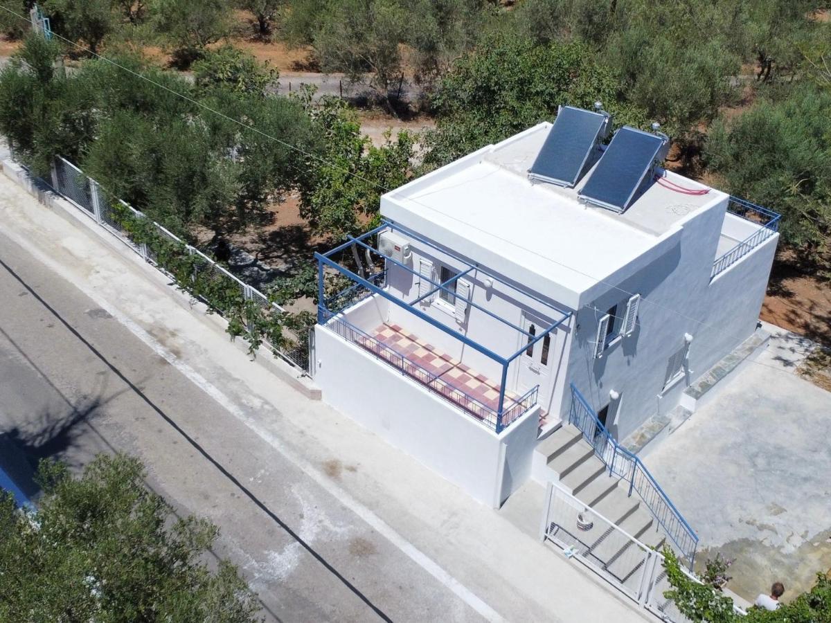 Olive Tree Apartment