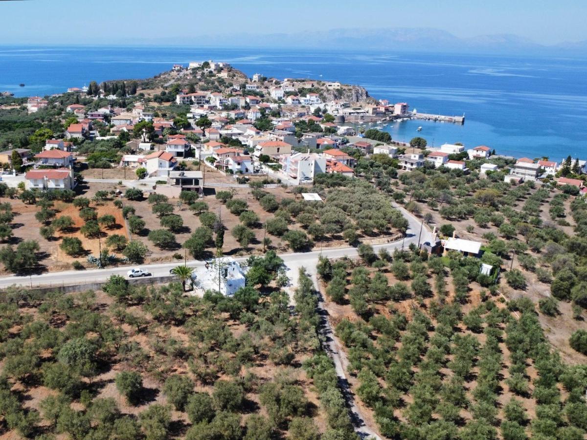 Apartment Olive Tree *