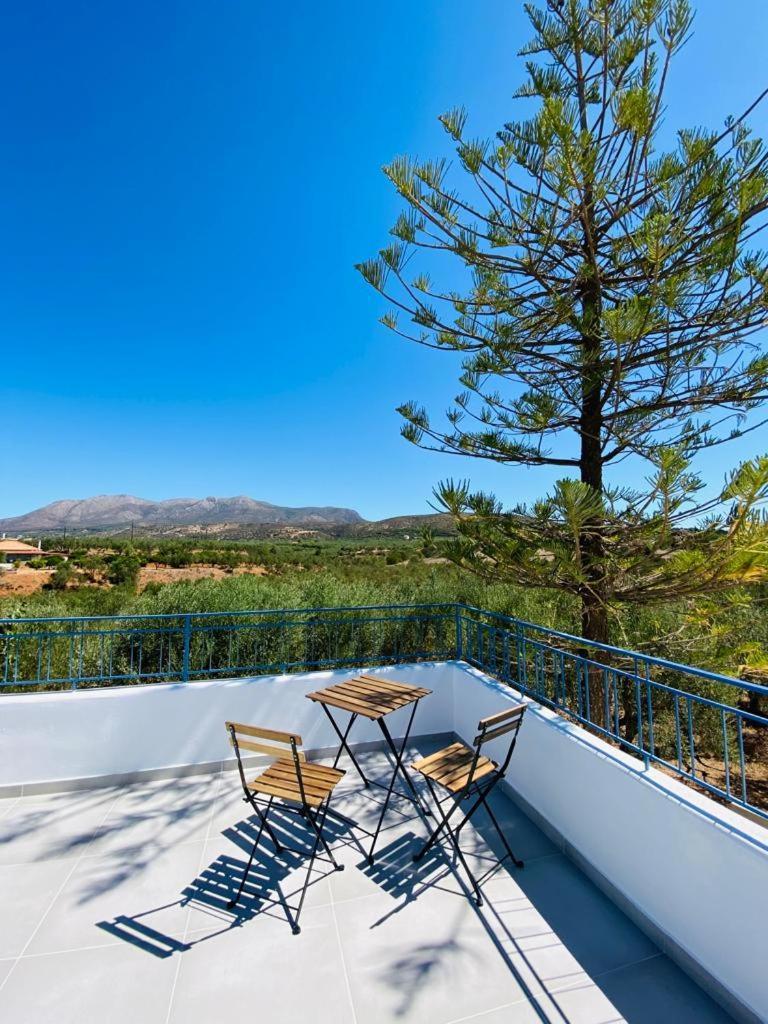 Apartment Olive Tree