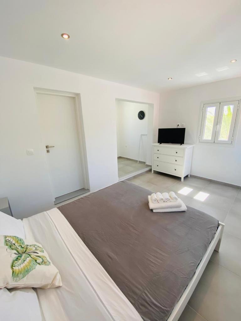Olive Tree Apartment